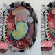 Illustration for article titled Gorgeous pop-up book lets you dissect a unicorn organ by magical organ